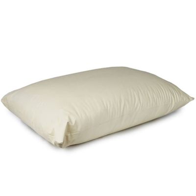 Jason Commercial Waterproof Curatic Medical Medium Pillow