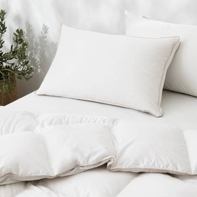 sheridan pure indulgence king quilt